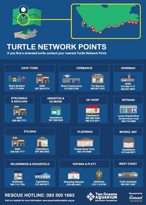 Turtle Rescue Hub